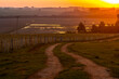 rural dirt road with irrigated rice fields in the background and a beautiful sunset in Brazil