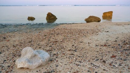 Poster - Closeup detail to sandy beach with few rocks and dry corals on it during evening sunset, calm water surface in distance