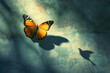 © The Picture House - Aspiration for change and ambition for improvement and success as a metaphor for growth and transformation as a butterfly casting a shadow of a flying bird