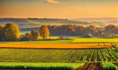 Canvas Print - sunset over the field