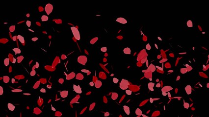 Wall Mural - rose petals falling transition animation with alpha channel 