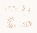 Fototapeta  - Pregnancy symbols female torso, silhouette of a pregnant woman, sleeping child drawing in floral hand-drawing style on beige background