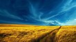 Golden Field of Wheat Under Blue Sky