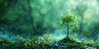 A young tree stands in soft light, enveloping a misty green forest, symbolizing new growth and the tranquility of nature.