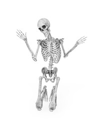 Sticker - structural skeleton is kneeling and looking down