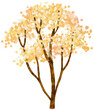 Autumn Tree with Yellow flowers watercolor illustration for Decorative Element
