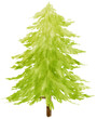 Pine Tree watercolor illustration for Decorative Element