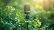 An image of a studio microphone set amongst lush green leaves, capturing the concept of nature's music under a soft sunlight.