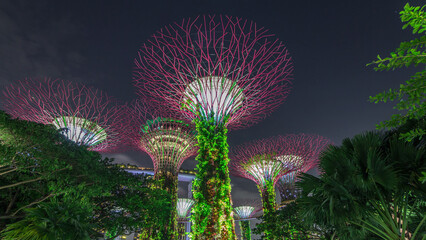 Wall Mural - Futuristic view of amazing illumination at Garden by the Bay night timelapse hyperlapse in Singapore.