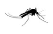 mosquito, mosquitoes black silhouette isolated. Insect flock in air. Viruses and diseases spreading mosquito isolated on white