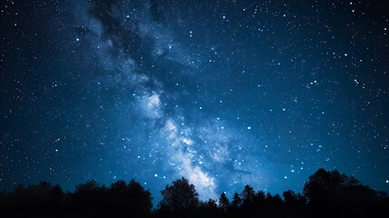 Wall Mural - blue dark night sky with many stars above field of trees. milky way