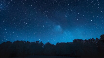 Wall Mural - blue dark night sky with many stars above field of trees. milky way
