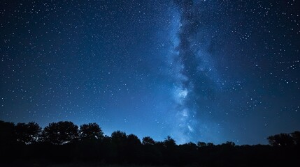 Wall Mural - blue dark night sky with many stars above field of trees. milky way