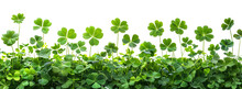 Lush Green Clover Field Symbolizing Growth And Luck, Cut Out - Stock Png.