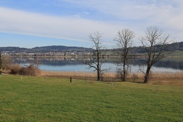 Blick auf den Pfäffikersee im Kanton Zürich in der Schweiz	