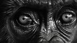 Detailed close-up of a monkey's eyes. Perfect for nature and wildlife projects