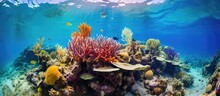 An Underwater Natural Landscape Filled With Stony Corals And Colorful Fish, Creating A Vibrant Coral Reef. A Perfect Leisure Spot For Marine Biology Enthusiasts