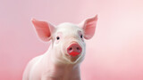 Fototapeta Zwierzęta - Portrait of a cute baby piglet with red lipstick on its mouth against a vibrant pink background. Lipstick on a pig.