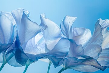 Aufkleber - These gentle tulips are captured in a soft, ethereal light, showcasing their delicate textures and tranquil beauty