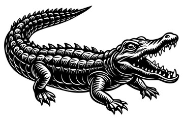 Wall Mural - Illustration of a crocodile