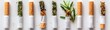 A conceptual image displaying cigarettes sequentially replaced with different herbs and plant materials on a white background.