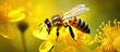 © TheWaterMeloonProjec - A closeup of a honeybee, a pollinator insect, on a yellow flower. This arthropod organism plays a vital role in pollinating plants, despite sometimes being viewed as a pest or parasite