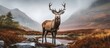 A deer is grazing next to a serene river in the mountainous landscape, under the vast sky. Its elegant horns add beauty to the natural scenery