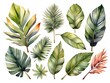 Watercolor illustration set of tropical leaves. Banner with exotic summertime motif. isolated on white background