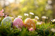 easter eggs in the grass