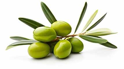 Wall Mural - Fresh olive tree branch adorned with olives, showcased on a white background.