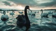 A black swan on the surface of the water among white swans. on beautiful sky. generative AI