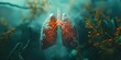 An In-Depth Look at the Anatomy of the Human Lungs in Medical Education Materials. Concept Anatomy of Human Lungs, Medical Education, Respiratory System, Pulmonary Anatomy, Human Lung Structure
