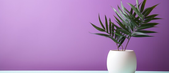 Poster - A houseplant in a violet flowerpot sits on a table against a purple wall, adding a touch of nature to the room with its twiggy terrestrial plant appearance