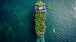 © snapshotfreddy - A ship decorated with green leaves symbolizes energy-efficient and sustainable use at sea.