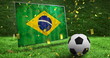 Image of flag of brazil and football over stadium
