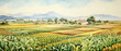 Crops land watercolor harvest scenes with crops. 