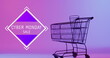 Image of cyber monday sale text over shopping trolley