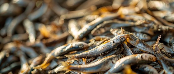 Poster - Market background with dried anchovies seafood