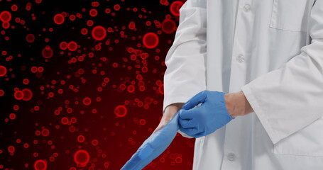 Poster - Image of midsection of caucasian male doctor with glove over red cells on red background