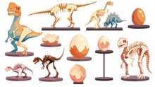 Paleontology Exhibition Exhibits Dinosaur Skeletons, Recreated Animals, And Cracked Eggs. Cartoon Modern Illustration Collection Of Dinosaur Bones And Artifacts.