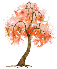 Wall Mural - Autumn Tree watercolor illustration for Decorative Element