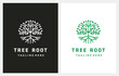 Circle Tree Root Minimalist Modern logo design inspiration