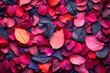 A vibrant display of autumn leaves in various shades of red, pink, and purple, densely packed in a full frame.