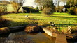 malerischer natürlicher Gartenteich mit Holzumrandung und Brücke an sonnigem Frühlingsmorgen