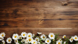 Fototapeta Nowy Jork - Beautiful spring chamomile flowers on a wooden background