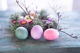 Fototapeta Tulipany - Colorful easter eggs in front of a herb nest with spring flowers on weathered rustic wooden table. Close-up with short depth of field. Easter background.