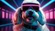 Cyber Paws Futuristic Illustration of Maltese Poodle Petfluencer Sporting VR Goggles Amidst Neon Blue Hues
