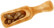 watercolor cocoa beans in wooden scoop