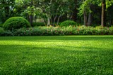 Fototapeta Kuchnia - Beautiful manicured lawn and flowerbed with deciduous shrubs on plot or Park outdoor. Green lawn closely mowed as grass background.