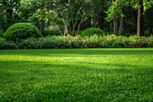Beautiful Manicured Lawn And Flowerbed With Deciduous Shrubs On Plot Or Park Outdoor. Green Lawn Closely Mowed As Grass Background.